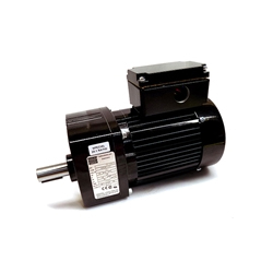 3M Motor - Gear 115V 60Hz, 78-8113-6885-7